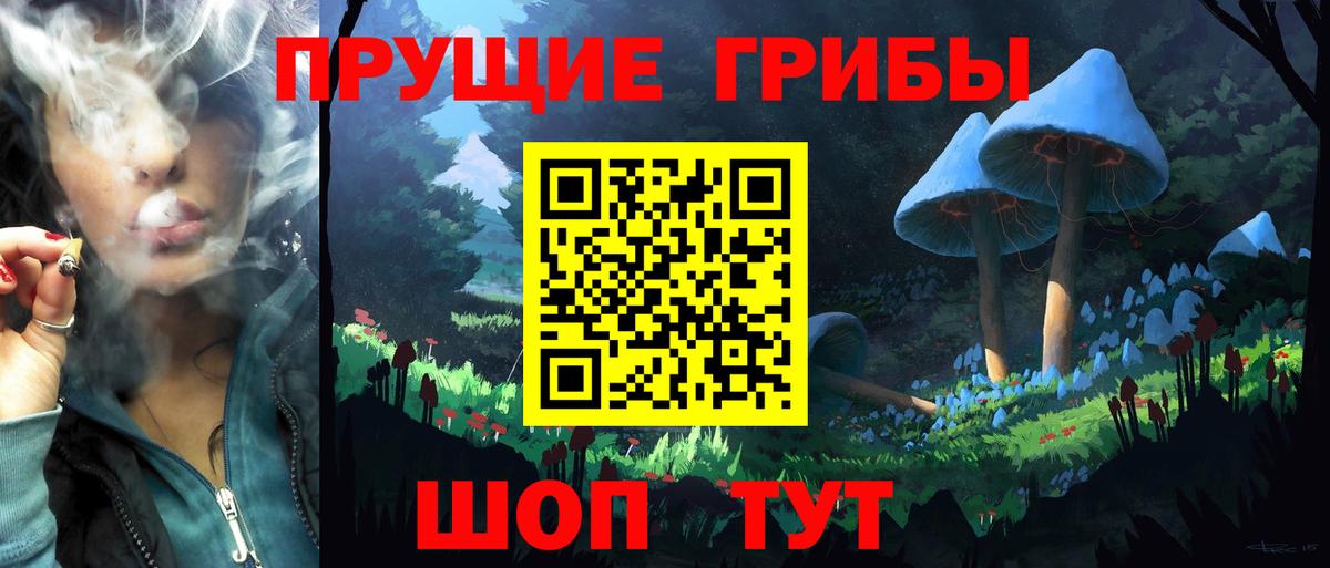 хочу наркоту  Галлюциногенные грибы Cubensis  Псилоцибиновые грибы Psilocybe  Вход с VPN  Ковров 